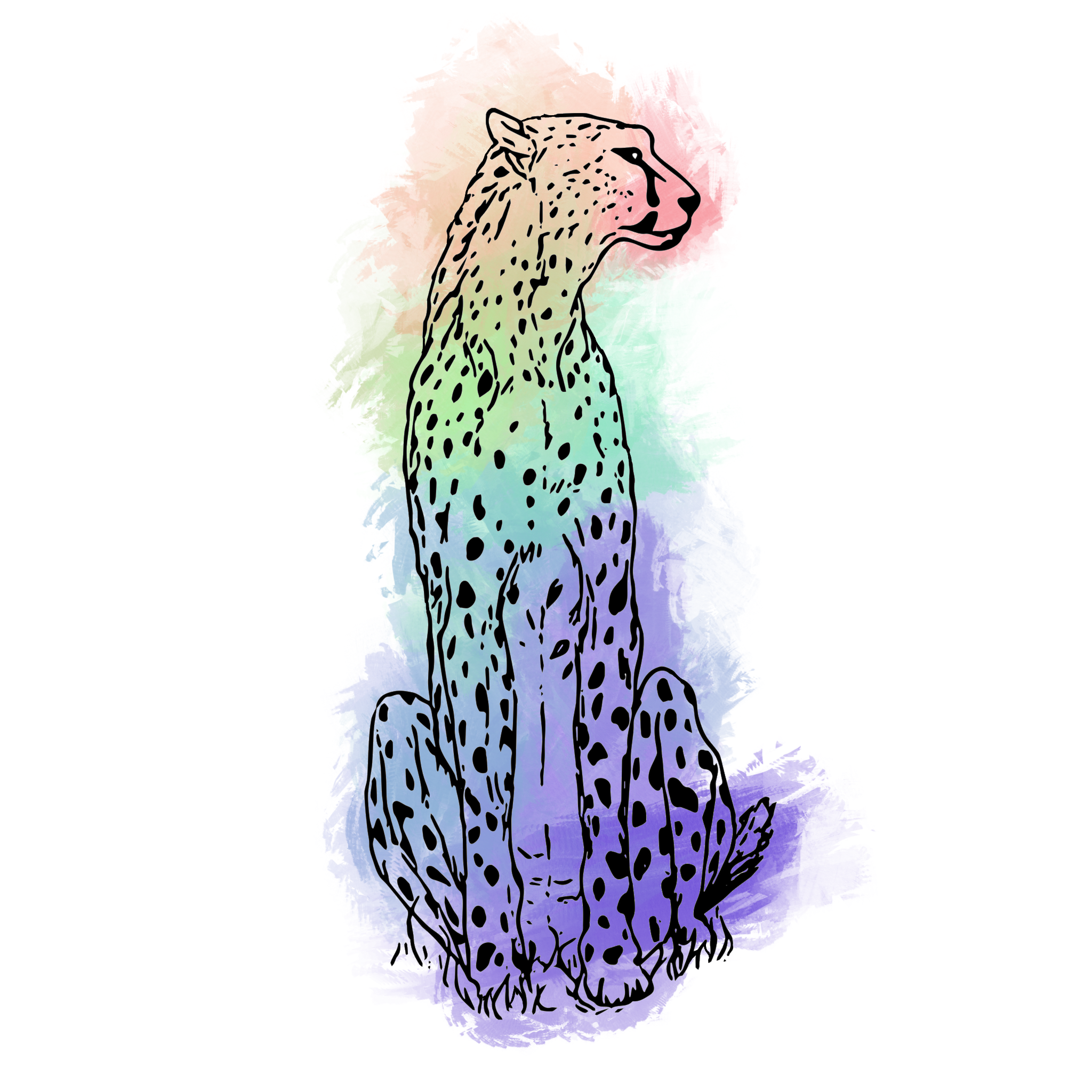 Rainbow Cheetah