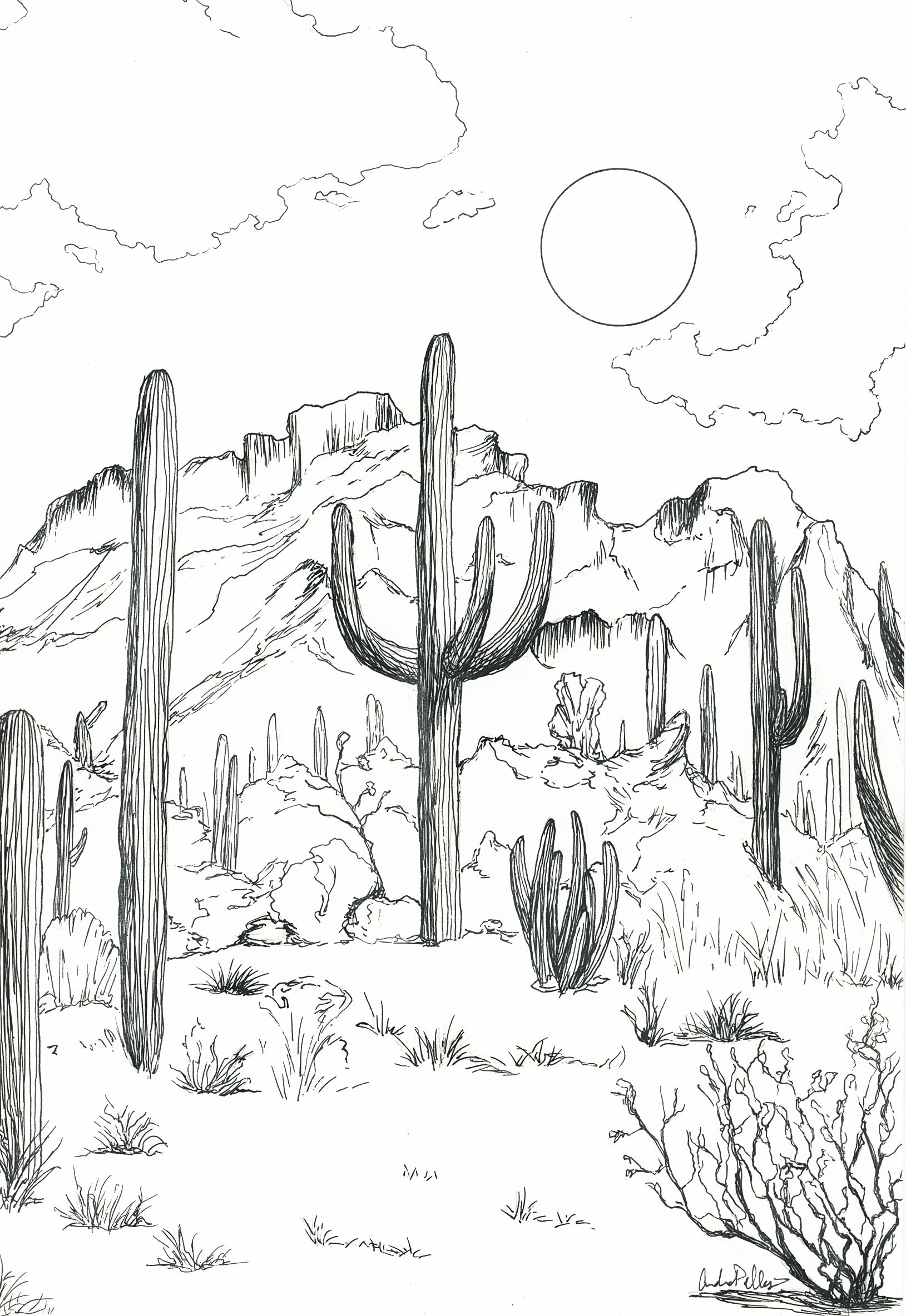 Saguaro Cacti Lines